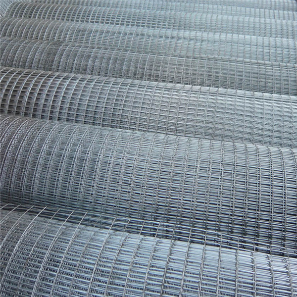 Galvanized Welded Wire Mesh