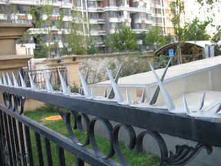 Sharp Wall Spikes For Sale.