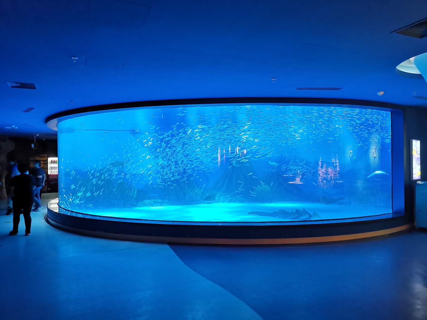 Acuario Acr&iacute;lico - Leyu