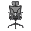KB-8901AS Ergomonic High Back Executive Director Chair