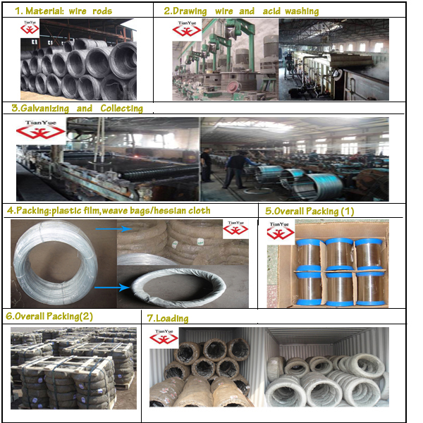 Shijiazhuang Tianyue Honest Co,Ltd Company Information
