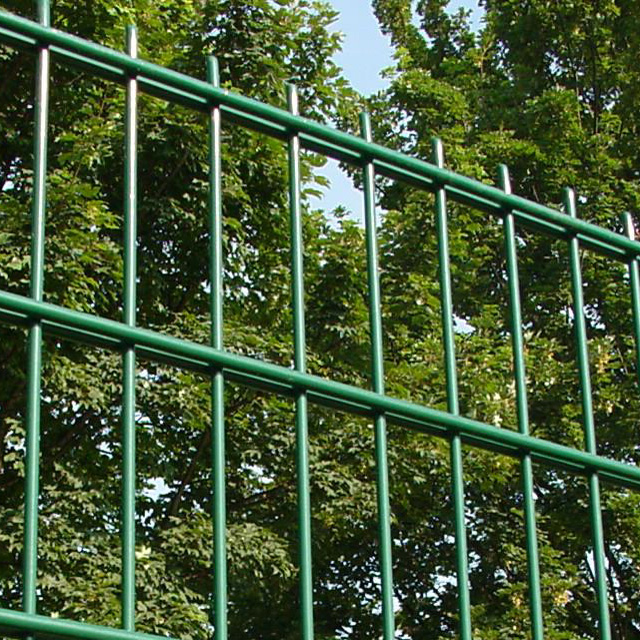 Double Wires Fence