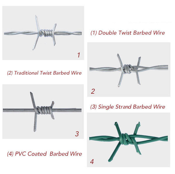 Our perfect Barbed wire