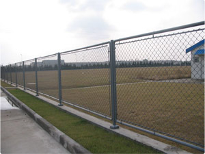 Chain Link Fence
