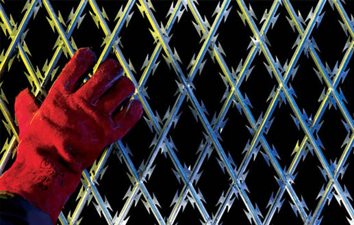 Welded Razor Wire Mesh