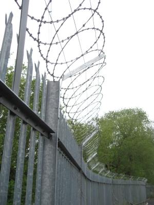 13012798_222150651487494_8459285147086351589_n