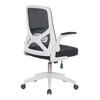 2020 Factory Price New Office Mesh Chair with Rotatable Armrest