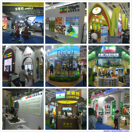 China-Africa-Economic-and-Trade-Expo2_副本