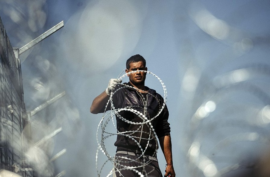 Сварная колючая сетка Zhengyang