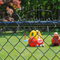 PVC Chain Link Fence