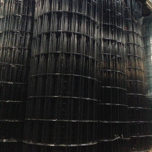 Black Welded Wire Mesh
