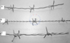 Barbed Wire