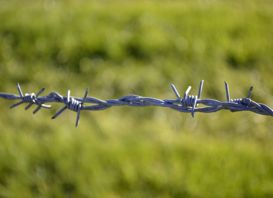 Barbed Wire