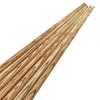 Paint-Free Single-Section Cue Stick Ash Wood Small Head Black Eight Colorful Billiard Hall Public Stick 10mm