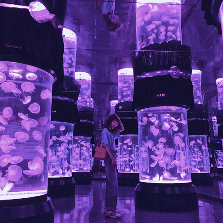 Jellyfish akwatin ruwa - Leyu