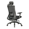 KB-8915A Morden Executive Ergonomic Mesh Chair