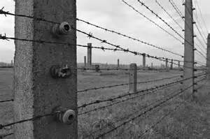 Barbed Wire Is the Realistic “Handssors”