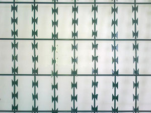 The Best Wire Mesh Supplier In China