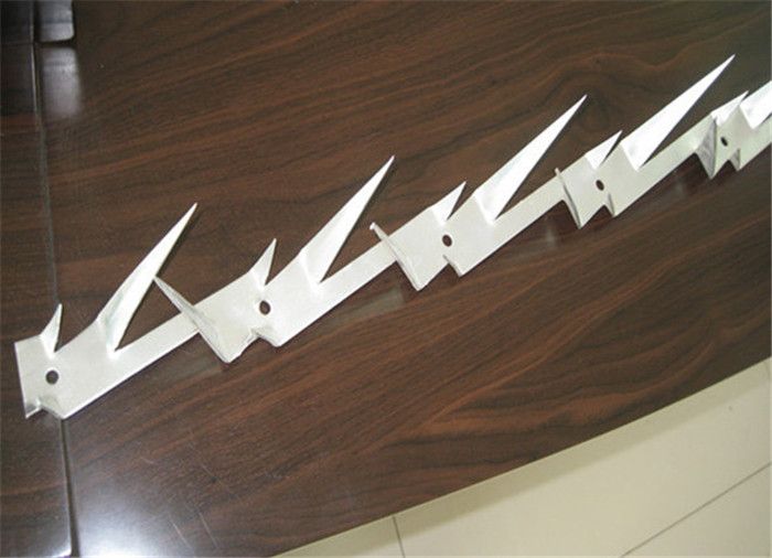 Flowers on The Wall-the guardian--Wall Spike