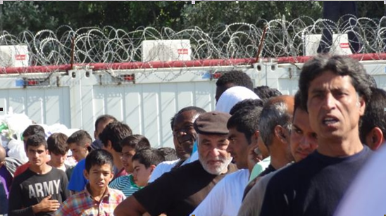 Венгрия использует армию и колючую проволоку, чтобы вытеснить мигрантов обратно в Сербию