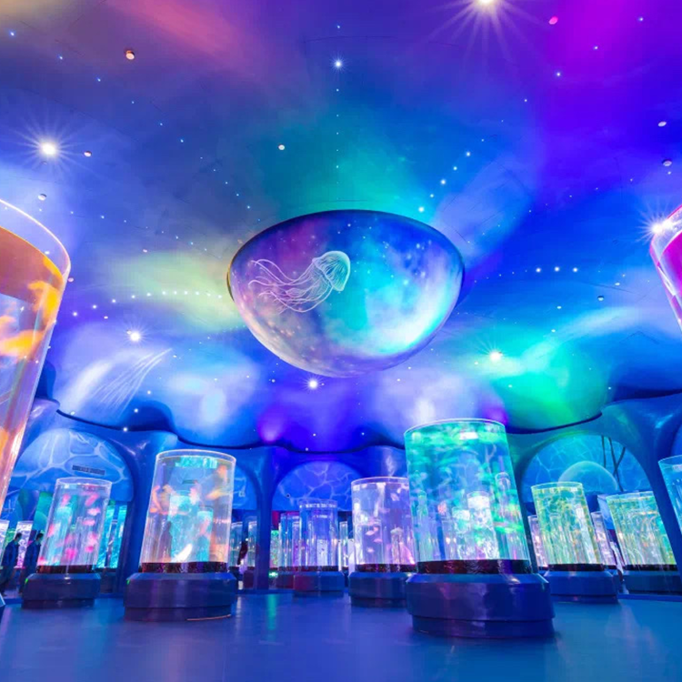 জেলিফিশ ট্যাঙ্ক