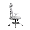 KB-8962AS-GR-015L-ALU New Design itting the Waist Office grey frame Mesh Chair with Headrest