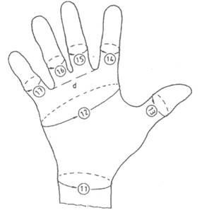 suitable glove