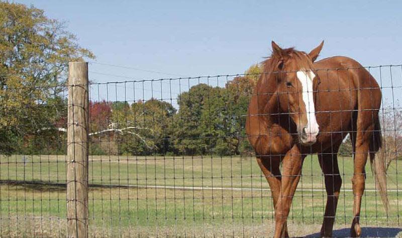 The main specifications of grassland fence