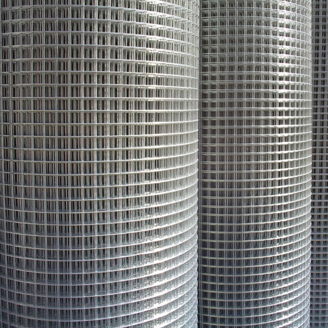 Galvanized Welded Wire Mesh