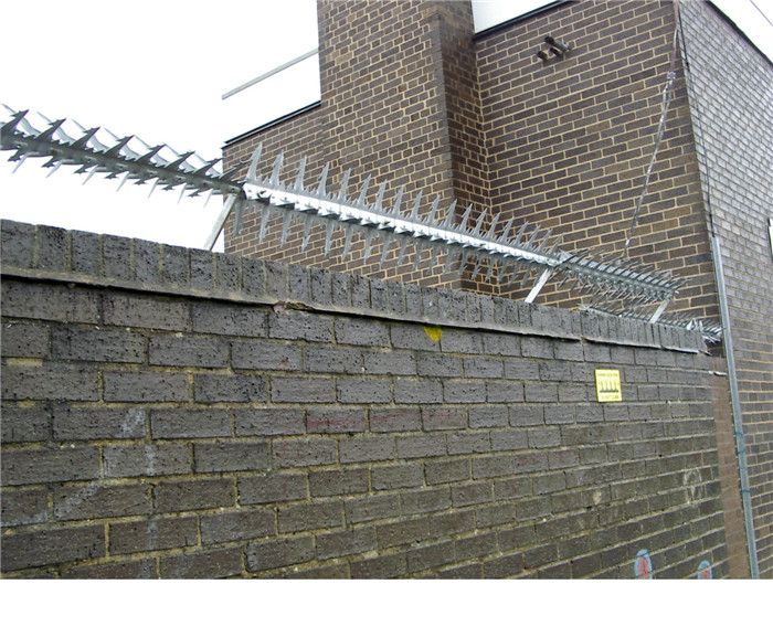 Flowers on The Wall-the guardian--Wall Spike