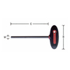 T-handle hex key set