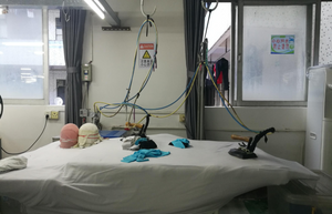 Иронинг Ареа