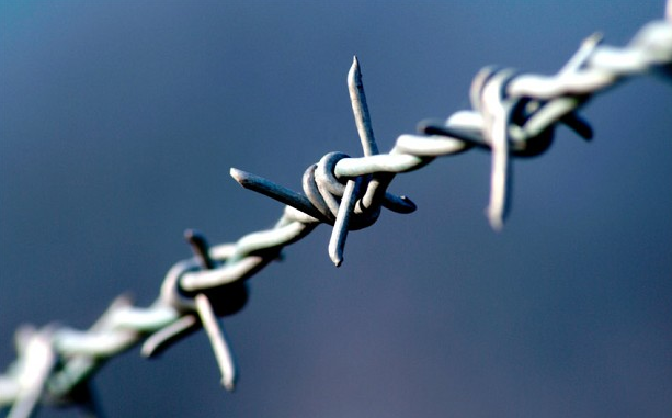 Barbed Wire