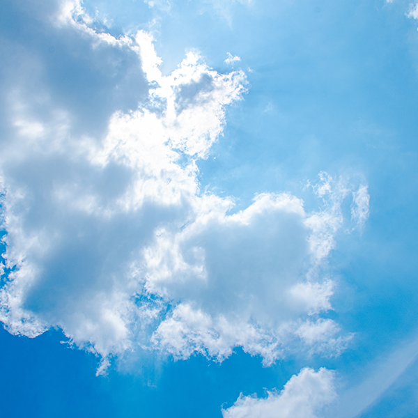Summer safety – essential tips for working in the heat