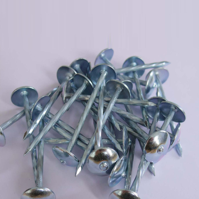 Roofing Nails