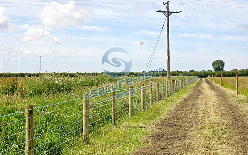 Barbed-Wire-Fence