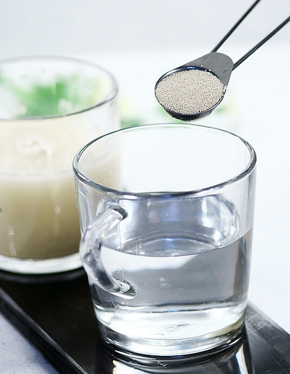 检验干酵母的活性