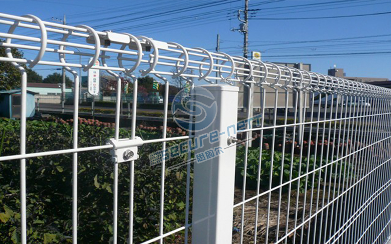 Double Roll Top Fencing Good View