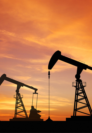 Petr&oacute;leo y gas