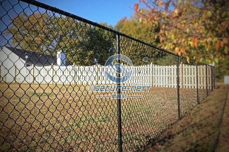 Chain Link Fence