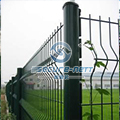 Garden galvanized 3D curved welded wire mesh