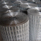 Electro Galvanized Welded Wire Mesh