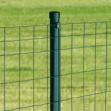 Welded Euro Fence