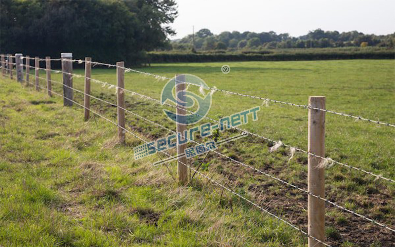 Barbed-Wire-Fence1