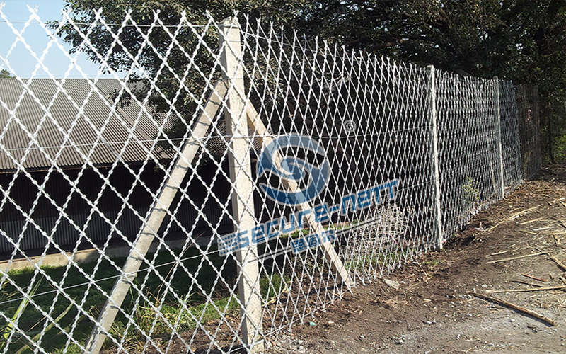 Razor Wire Fencing Eye-catching1