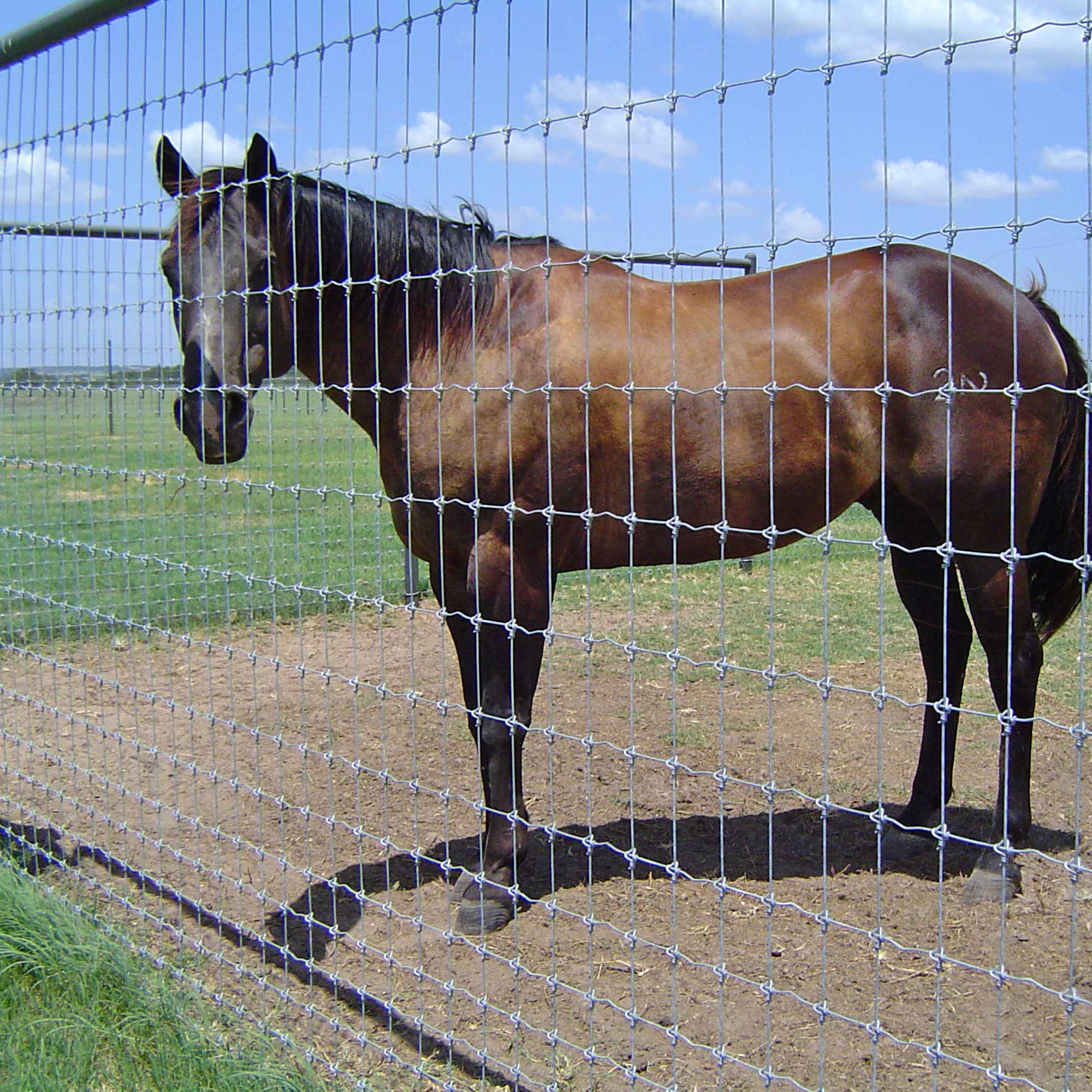 Grassland Fence
