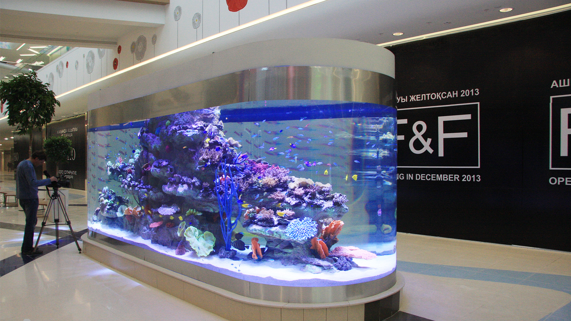 Acquario acrilico senza cerchio