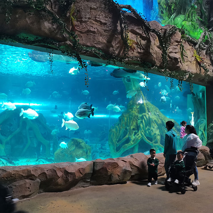 Acrylraamaquarium - Installatie