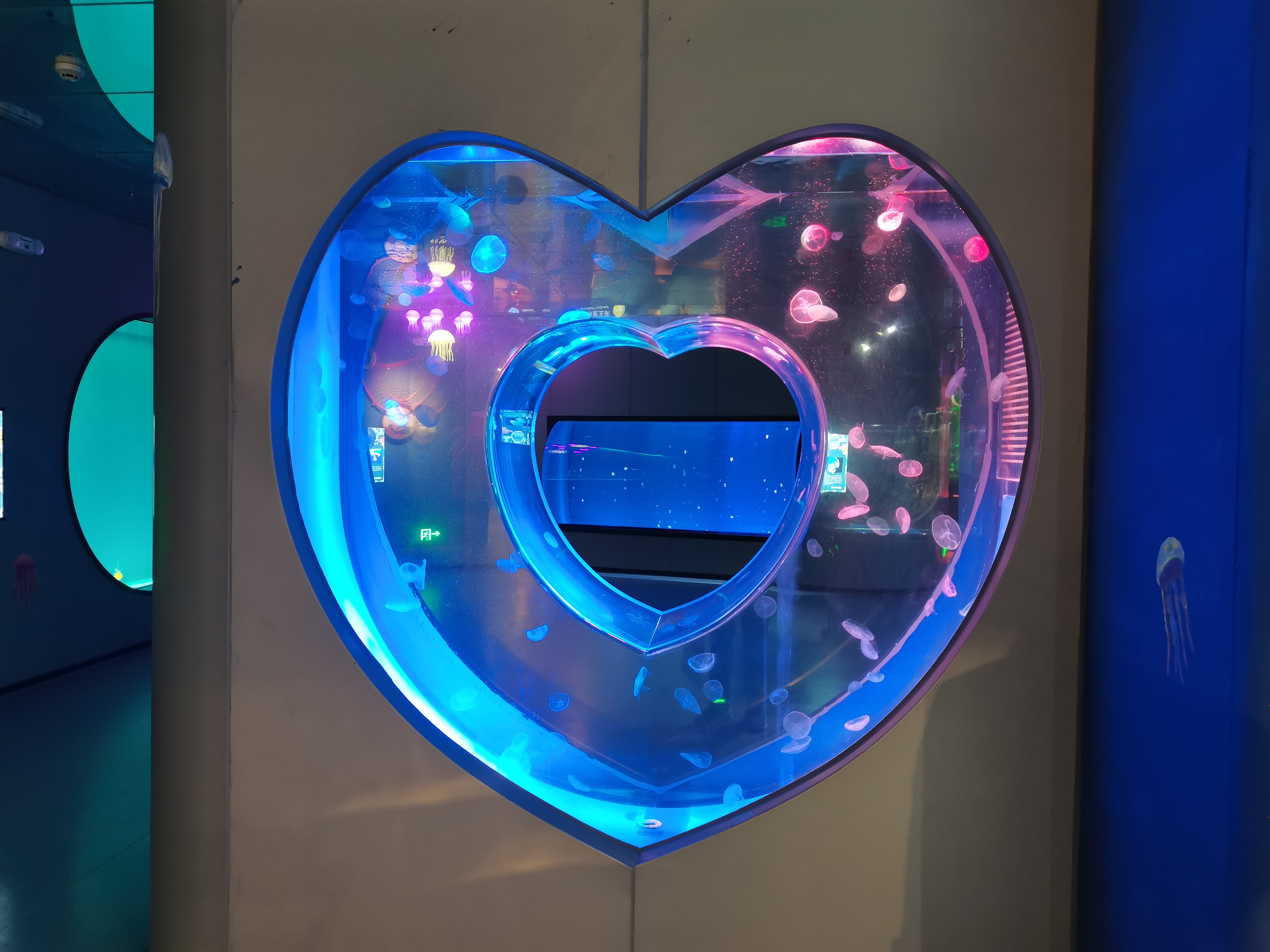 Akrilo medūzų akvariumas - įrengimas