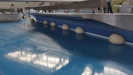 Ленточный Замороженный Рулет